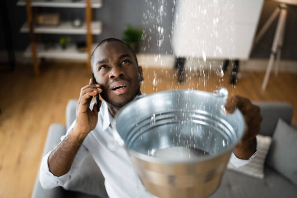 Best Ceiling water damage repair  in Melrose Park, NY