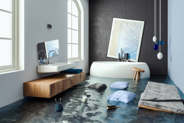 Best Professional water damage repair  in Melrose Park, NY