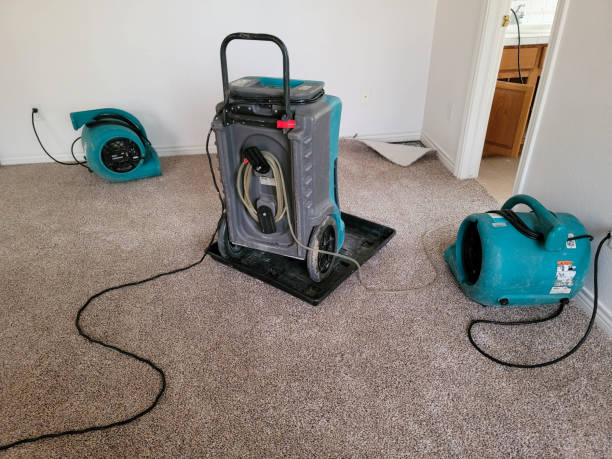 Best Flood restoration services  in Melrose Park, NY