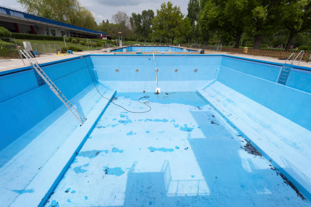Best Mold removal after water damage  in Melrose Park, NY