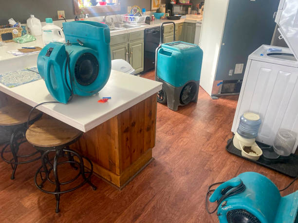 Best Water damage restoration cost  in Melrose Park, NY