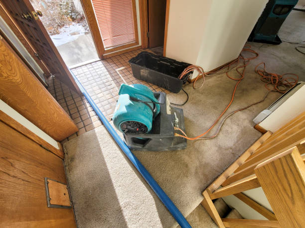 Best Water damage restoration near me  in Melrose Park, NY