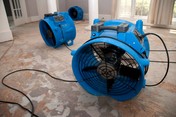Best 24/7 water damage repair  in Melrose Park, NY