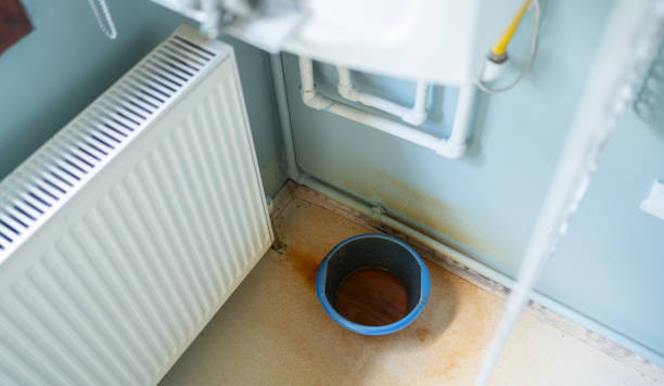 Best Water damage mitigation services  in Melrose Park, NY