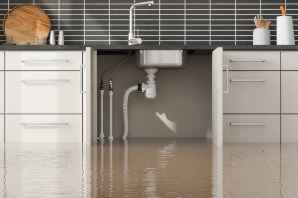 Best Commercial water damage restoration  in Melrose Park, NY