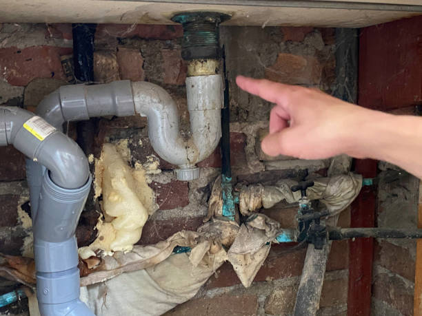 Best Water damage restoration specialists  in Melrose Park, NY