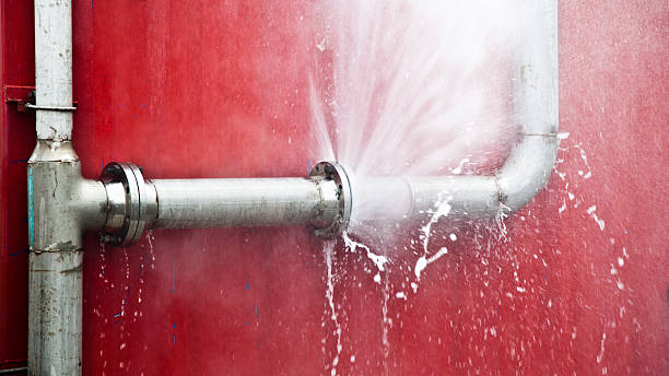 Best Flood damage cleanup  in Melrose Park, NY